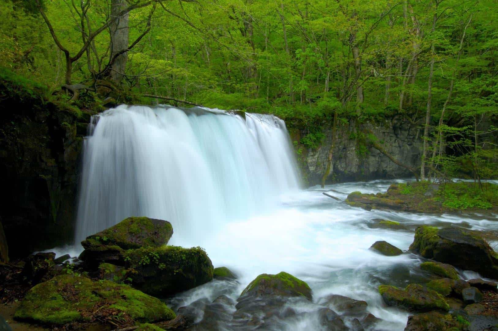 

長榮東北奧入瀨溪.睡魔之村.角館小京都.鐵道體驗溫泉美食5日(仙台/青森)